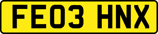 FE03HNX