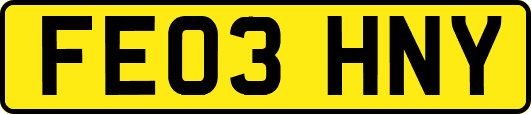 FE03HNY