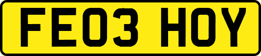 FE03HOY