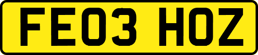 FE03HOZ