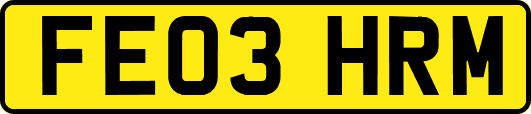FE03HRM