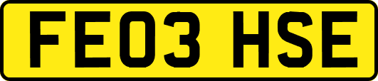 FE03HSE