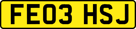FE03HSJ