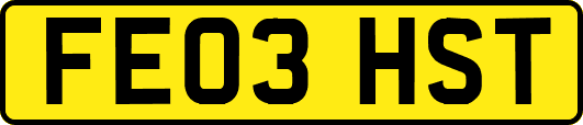 FE03HST