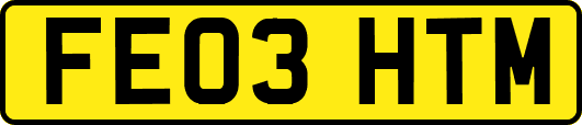 FE03HTM