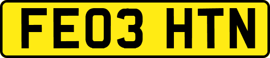 FE03HTN