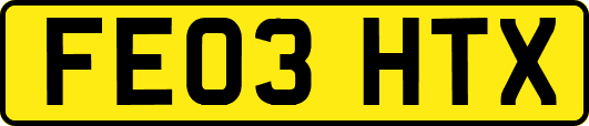 FE03HTX