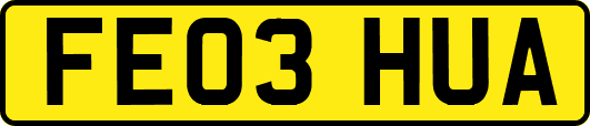 FE03HUA