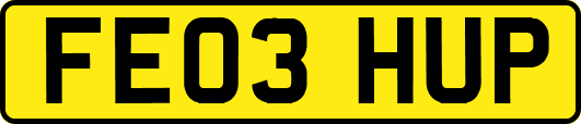 FE03HUP
