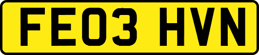 FE03HVN