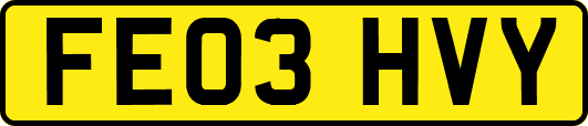 FE03HVY
