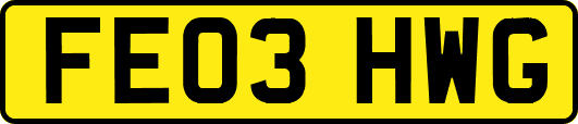 FE03HWG