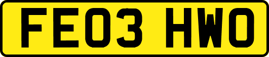 FE03HWO