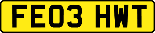 FE03HWT