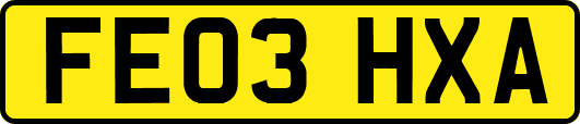 FE03HXA