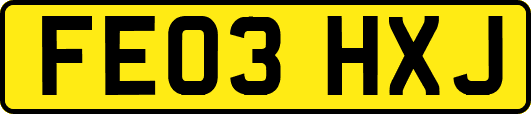 FE03HXJ
