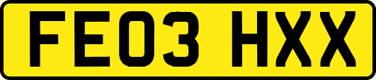 FE03HXX