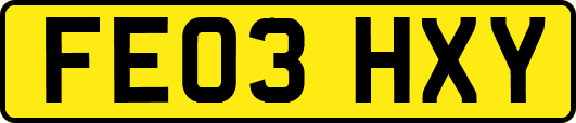 FE03HXY