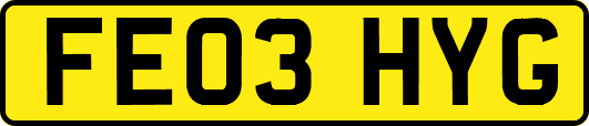 FE03HYG