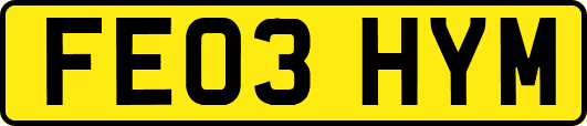 FE03HYM