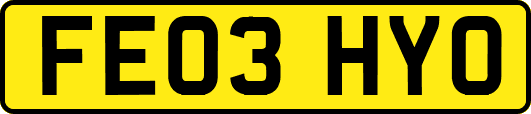 FE03HYO