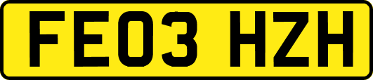 FE03HZH