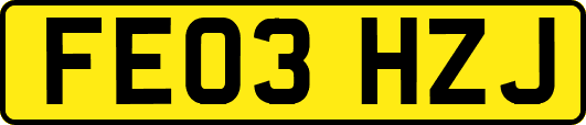 FE03HZJ