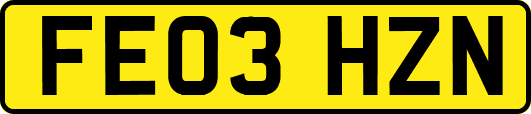 FE03HZN