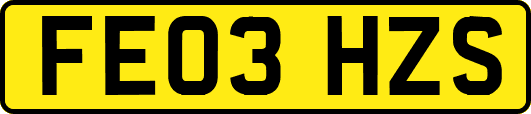 FE03HZS