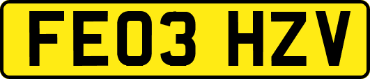FE03HZV