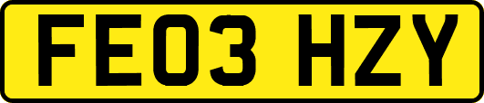 FE03HZY