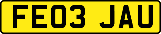 FE03JAU