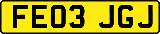 FE03JGJ