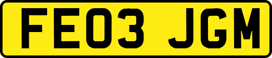 FE03JGM