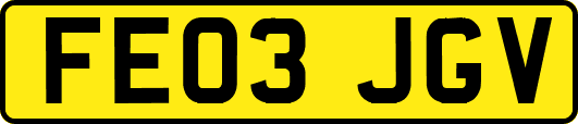 FE03JGV