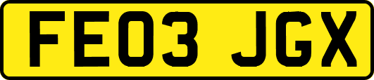 FE03JGX