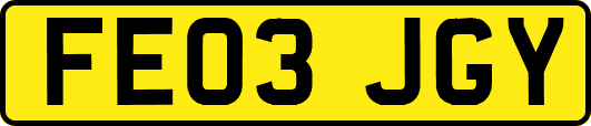 FE03JGY