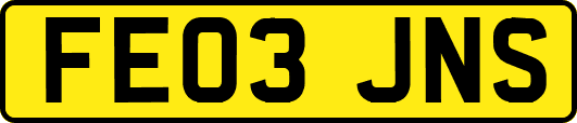 FE03JNS