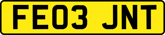FE03JNT