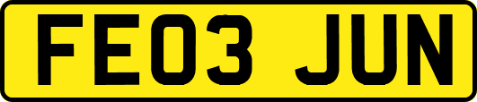 FE03JUN