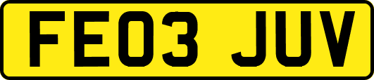 FE03JUV