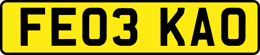 FE03KAO