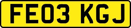 FE03KGJ