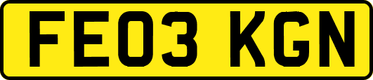 FE03KGN