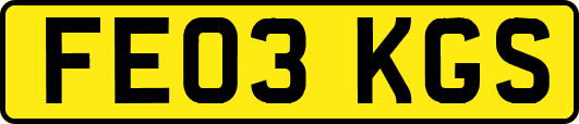 FE03KGS