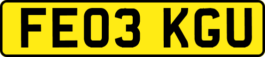 FE03KGU