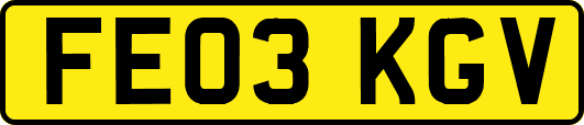 FE03KGV
