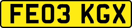 FE03KGX