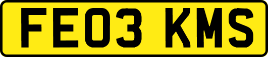 FE03KMS