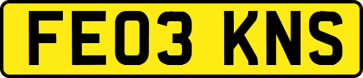 FE03KNS
